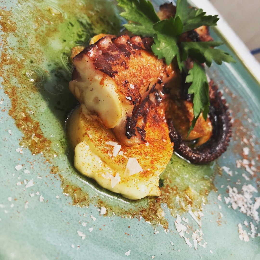 platos solstici